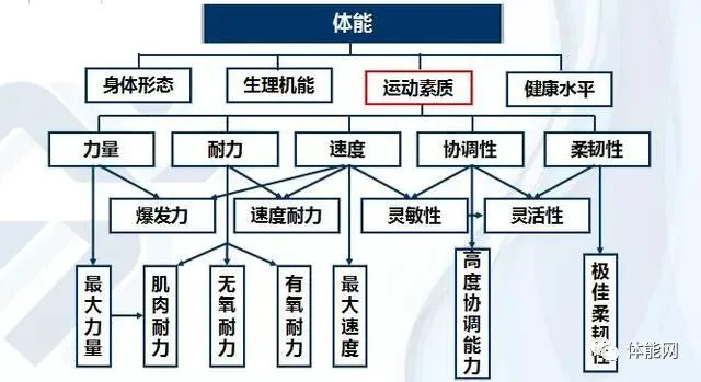 如何制定一个有效的篮球速度提升计划_1