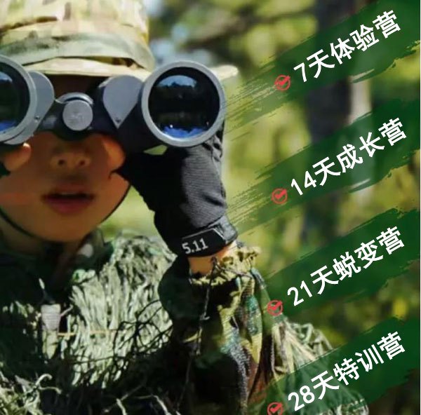 篮球协调训练的成功案例分析_1