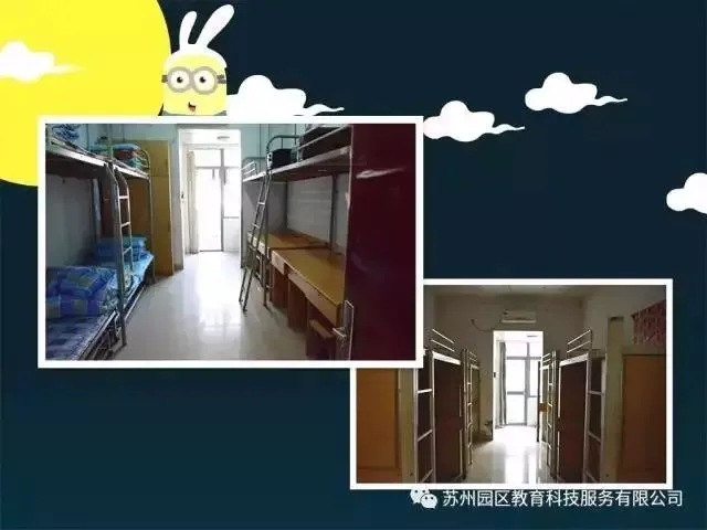 适合不同年龄段篮球爱好者的体能训练方案_1